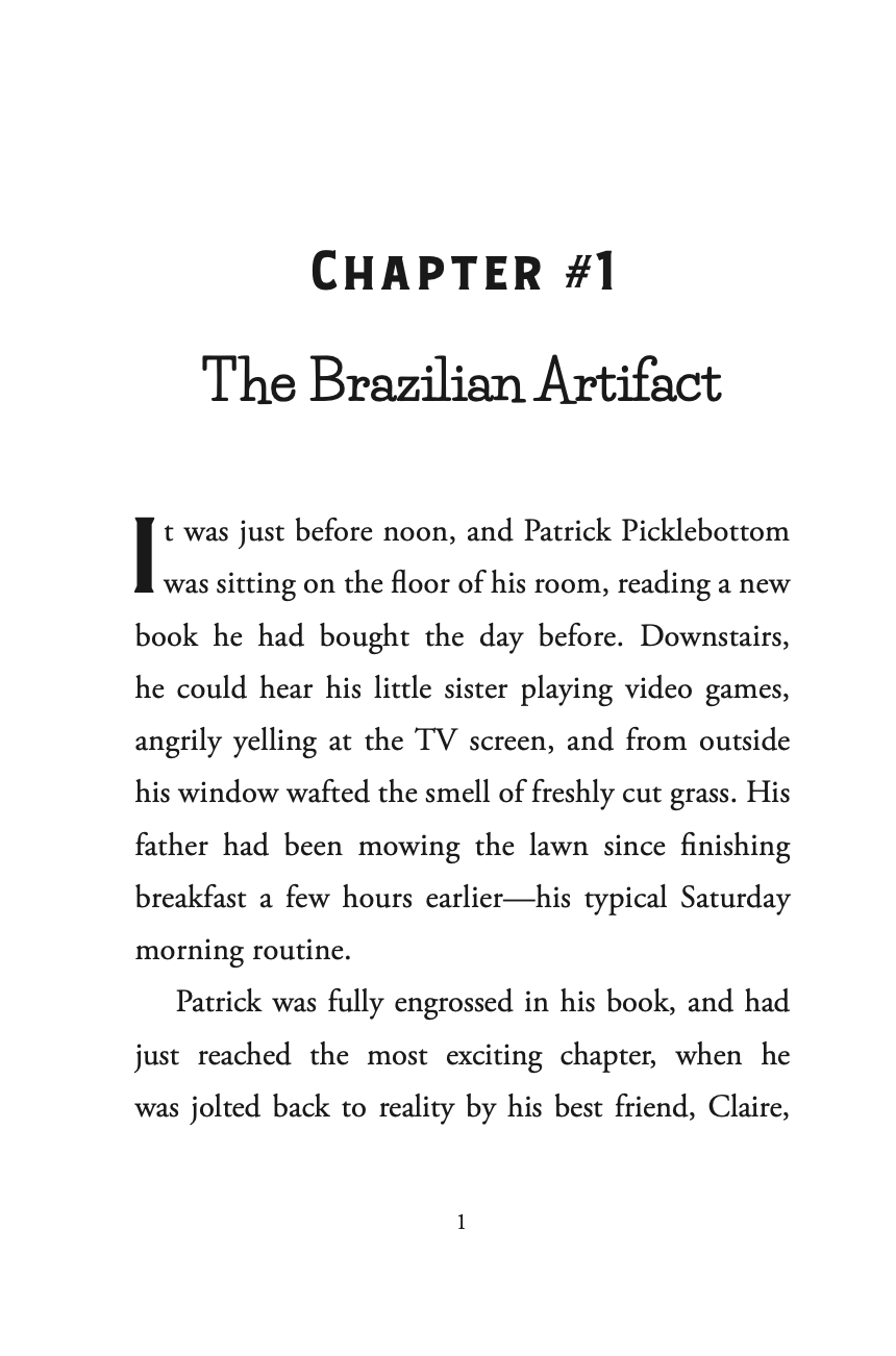 The Patrick Picklebottom Everyday Mysteries: Book One: The Case of the Brazilian Vase
